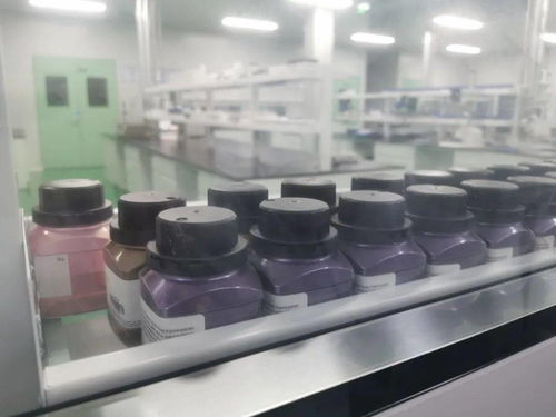 一年投7位數，代工廠不甘心為花西子們打工