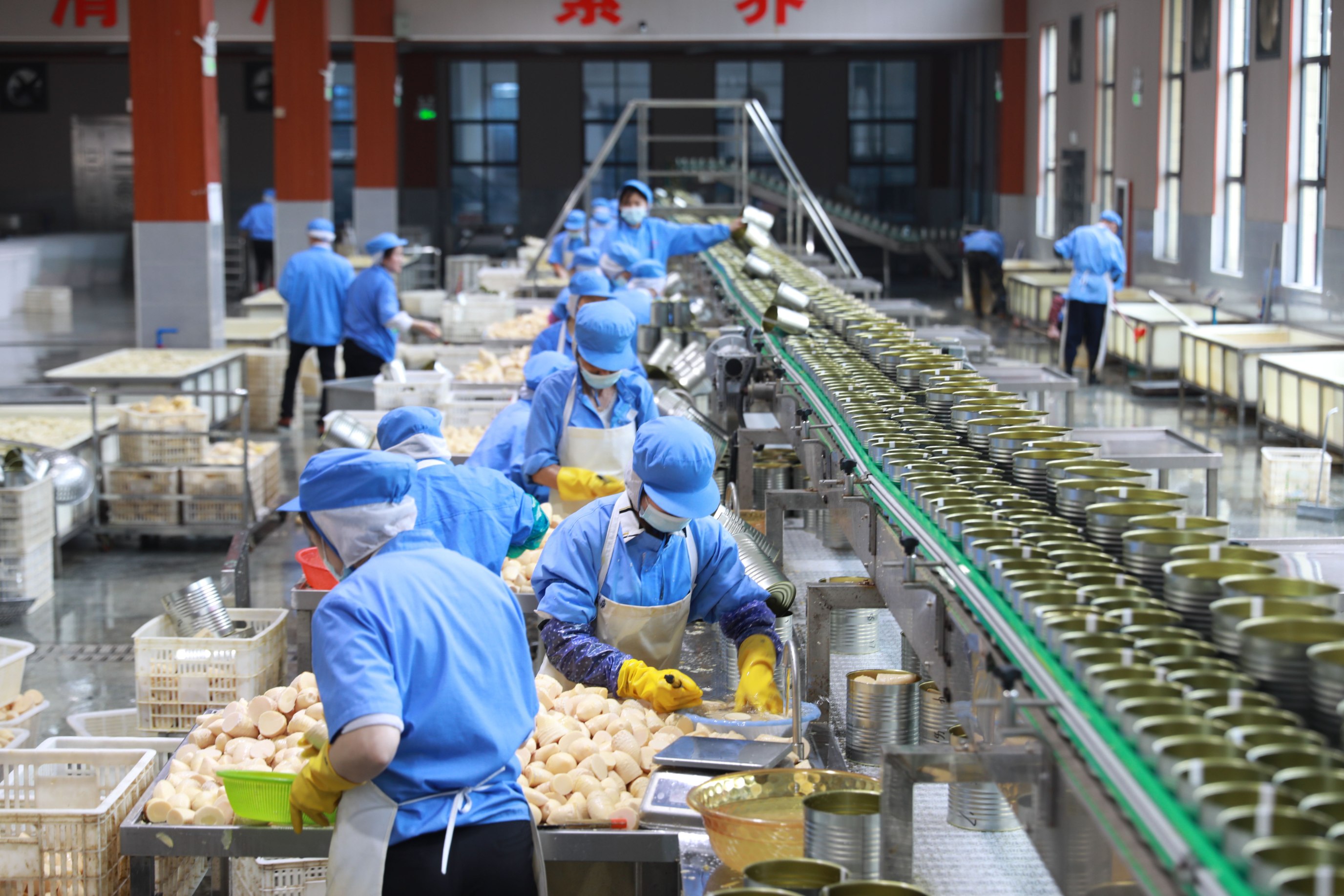 人行樂安縣支行 金融活水精準滴灌，助力竹筍產業融合升級